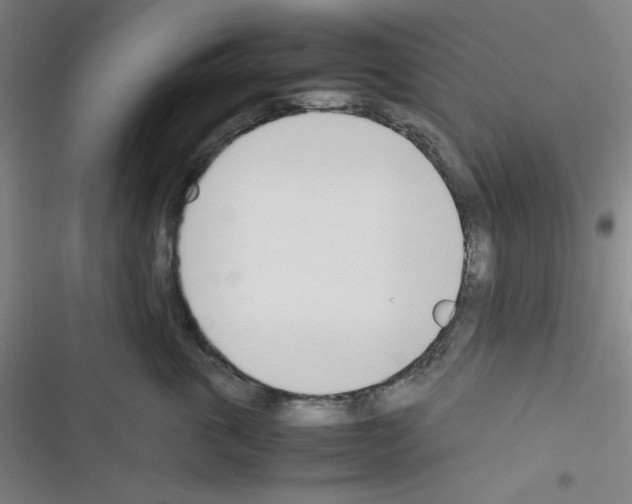 X0000116330763201001131024