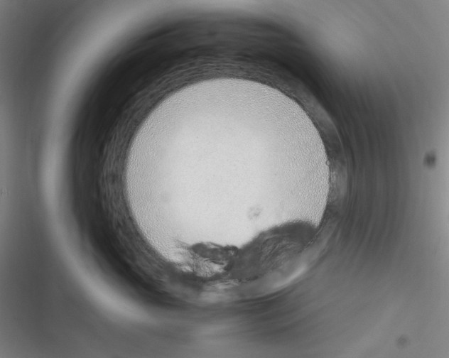 X0000116330765201001131024