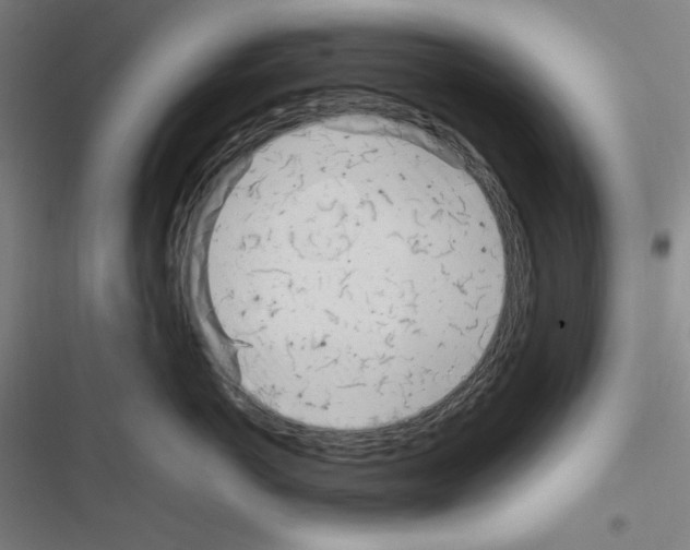 X0000116330766201001131024