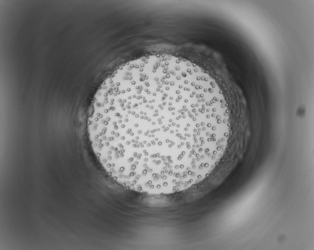 X0000116330767201001131024