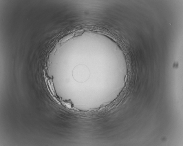 X0000116330769201001131023