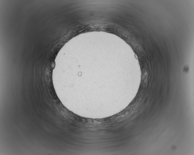 X0000116330772201001131023