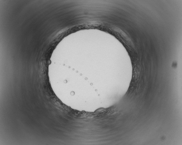 X0000116330773201001131023