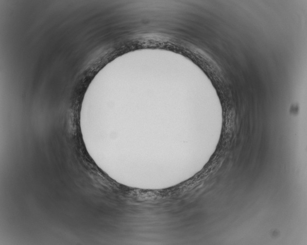 X0000116330774201001131023