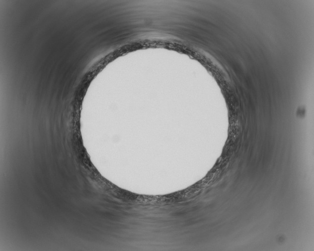 X0000116330775201001131023