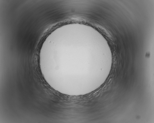 X0000116330776201001131023