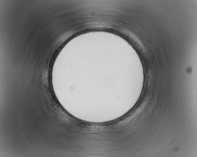 X0000116330777201001131023