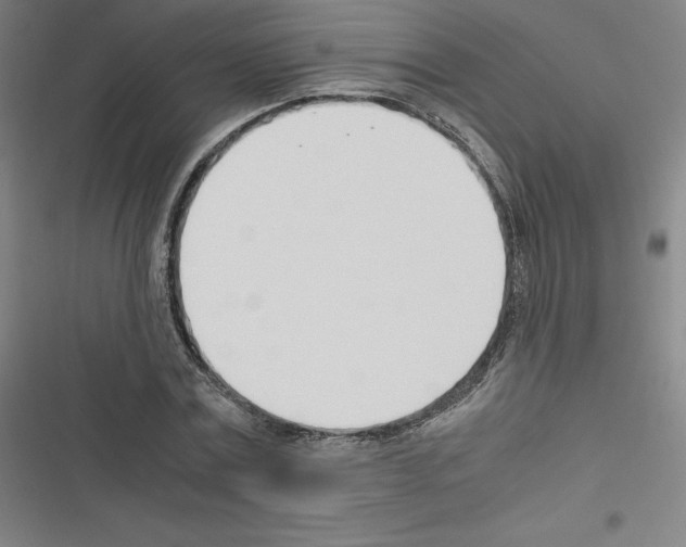 X0000116330779201001131023