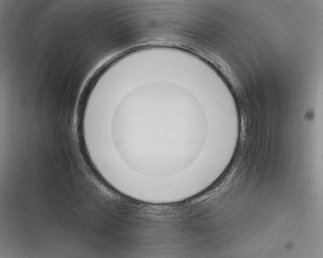 X0000116330780201001131023
