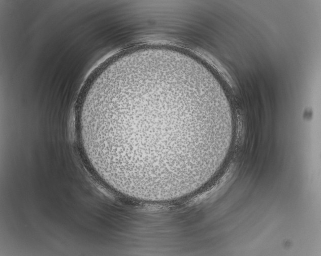 X0000116330782201001131023