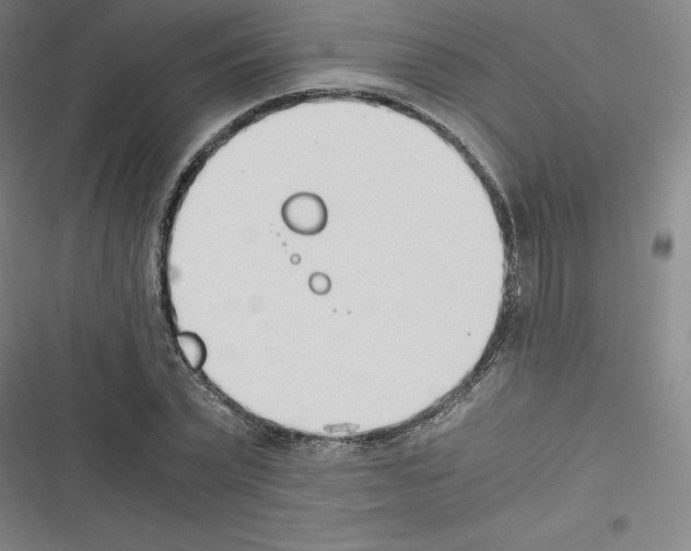 X0000116330783201001131023