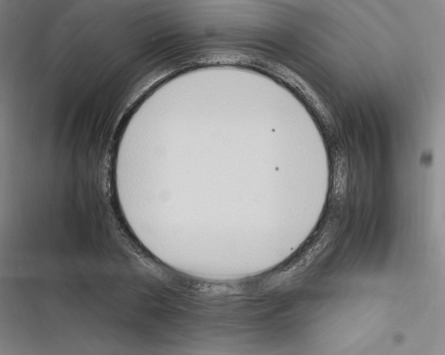 X0000116330786201001131023