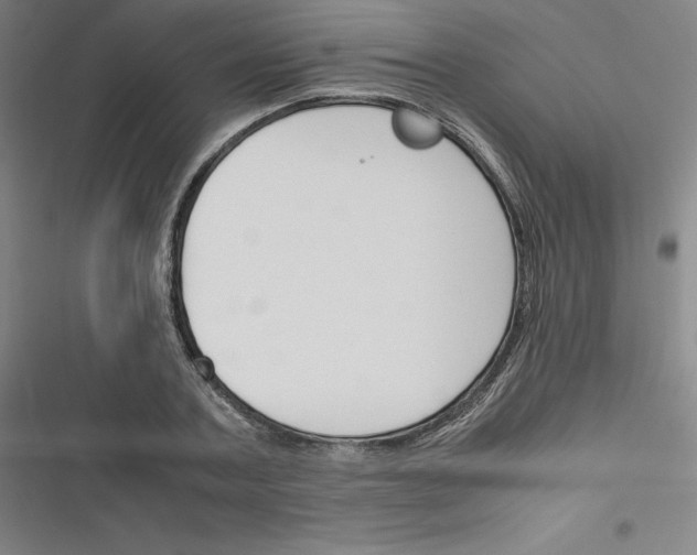 X0000116330787201001131023