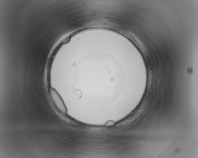X0000116330788201001131023