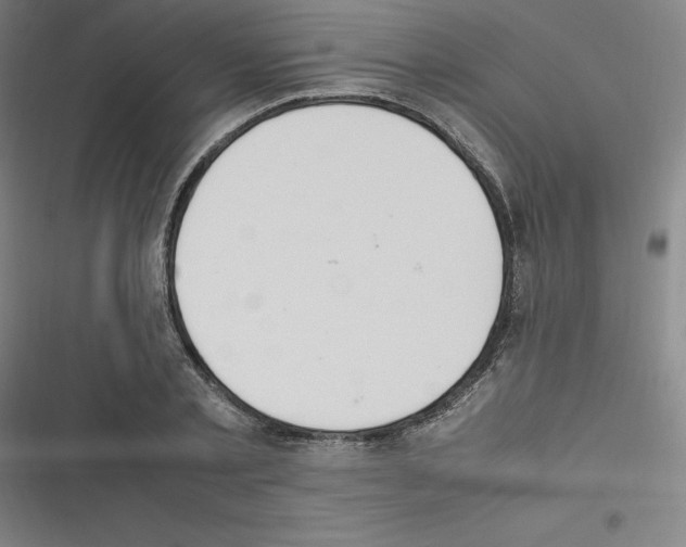 X0000116330789201001131023