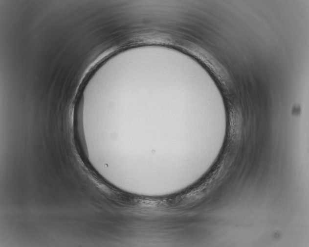 X0000116330790201001131023