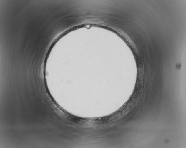 X0000116330791201001131023