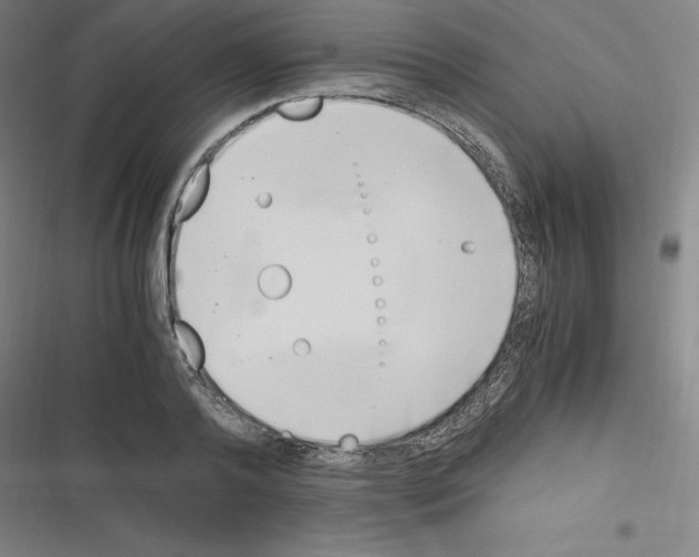 X0000116330792201001131023