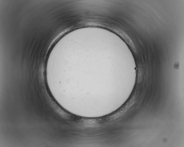 X0000116330798201001131023