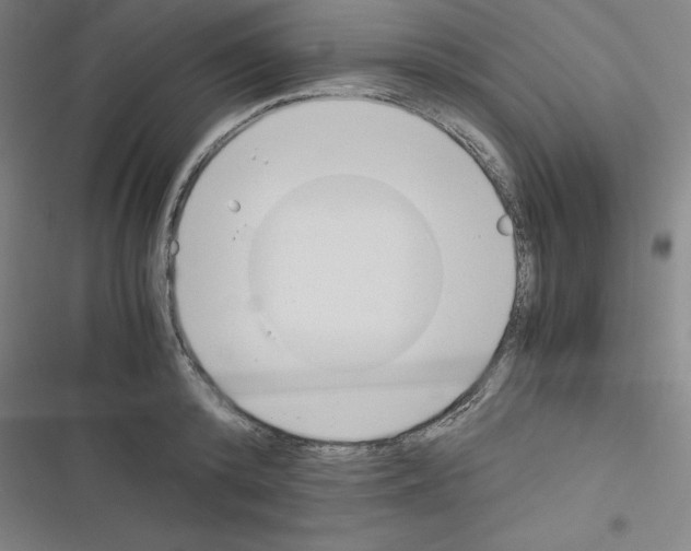 X0000116330800201001131023