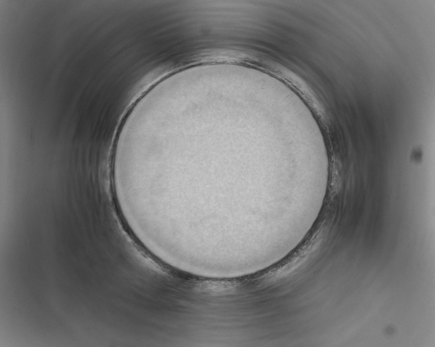 X0000116330802201001131023