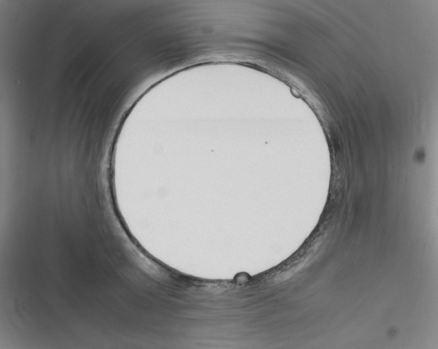 X0000116330803201001131023