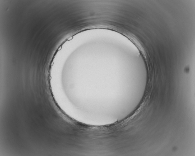 X0000116330805201001131023