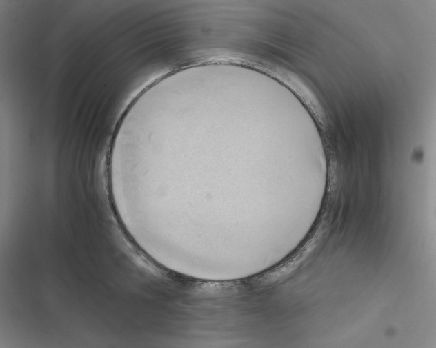 X0000116330806201001131023