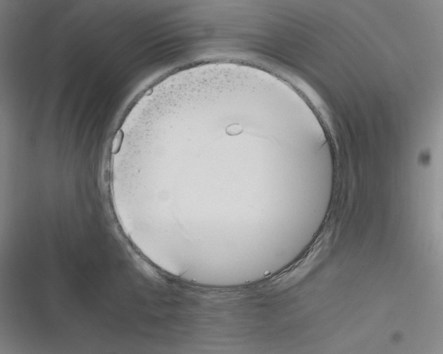 X0000116330807201001131023