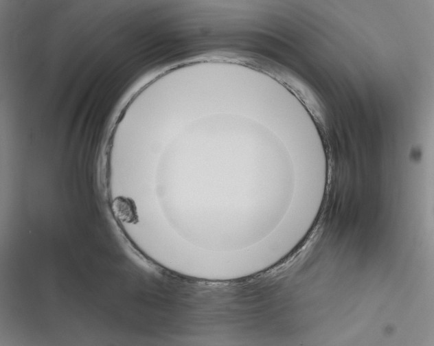 X0000116330808201001131023