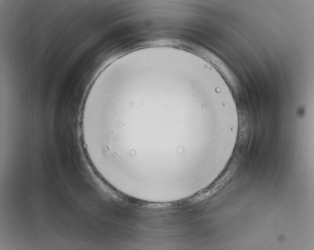 X0000116330810201001131023