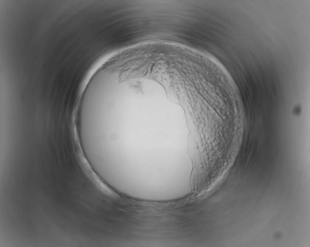 X0000116330812201001131023