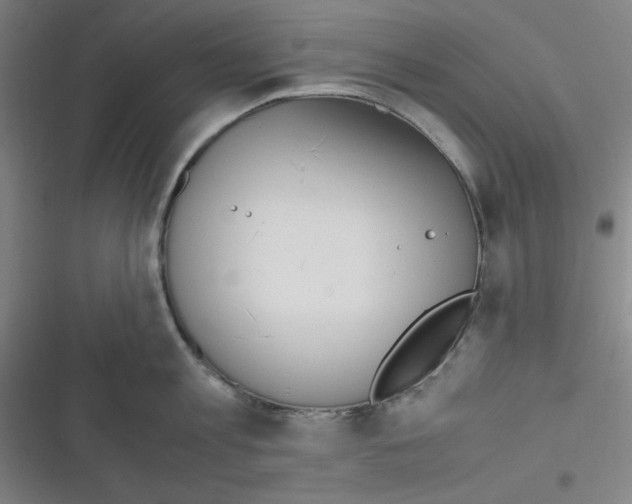 X0000116330813201001131023