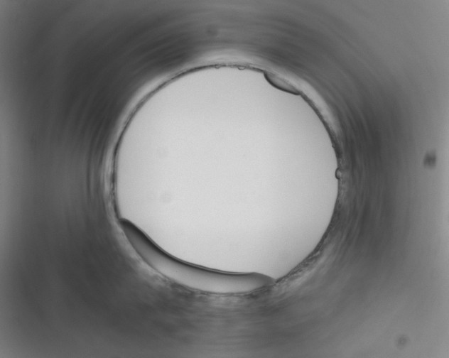 X0000116330815201001131023