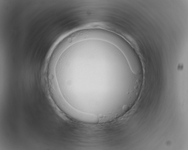 X0000116330816201001131023