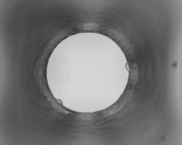 X0000116330817201001131022