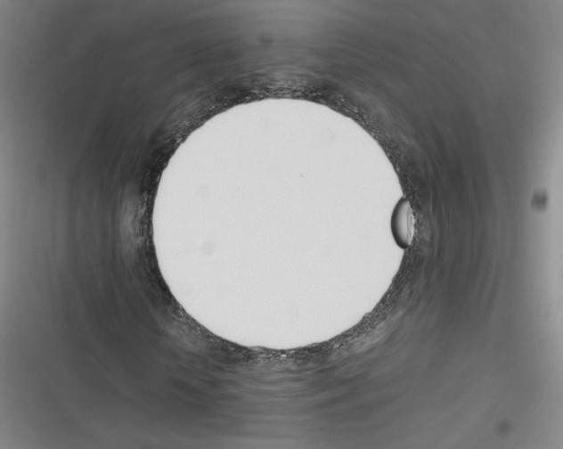 X0000116330818201001131022