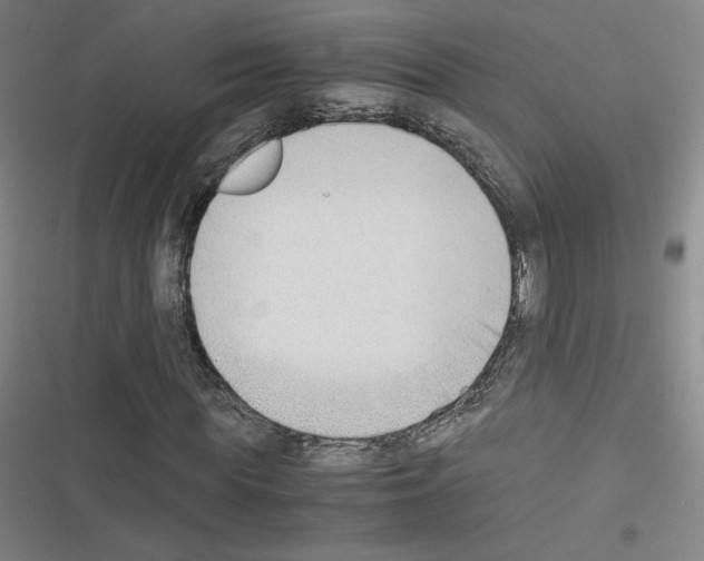 X0000116330819201001131022