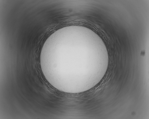 X0000116330820201001131022