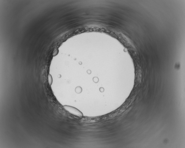 X0000116330821201001131022