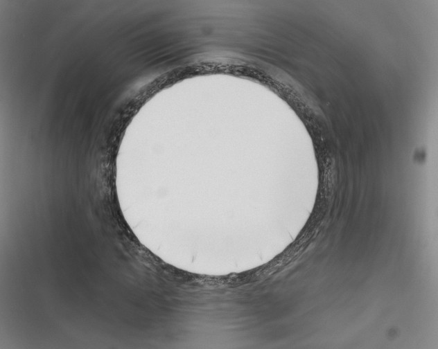 X0000116330822201001131022