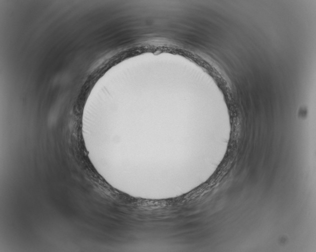 X0000116330823201001131022