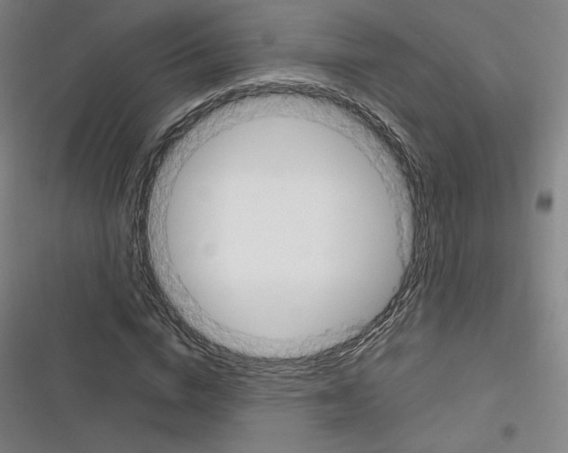 X0000116330824201001131022