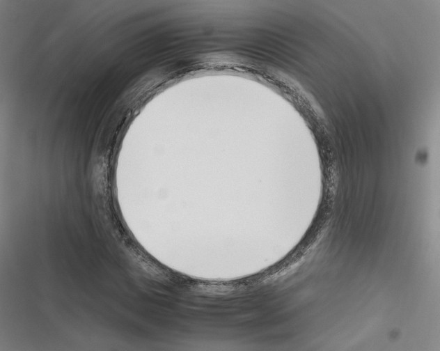 X0000116330825201001131022