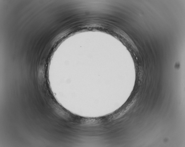 X0000116330826201001131022