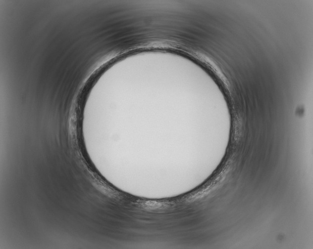 X0000116330827201001131022