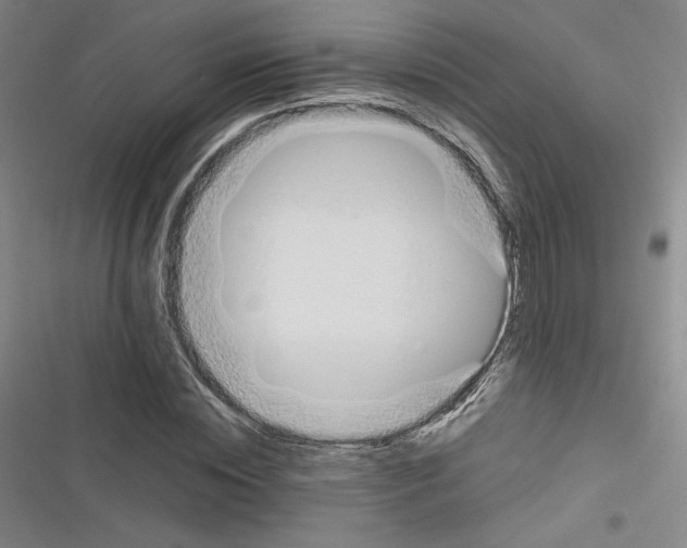 X0000116330828201001131022