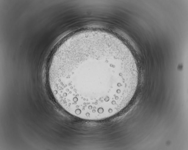 X0000116330829201001131022