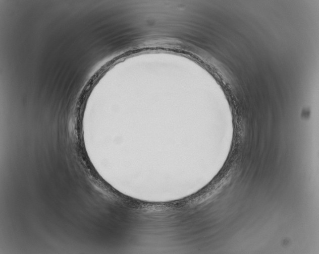 X0000116330830201001131022
