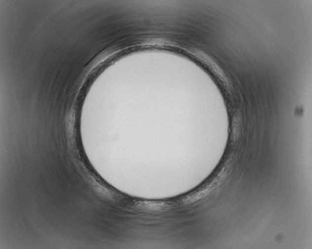 X0000116330831201001131022